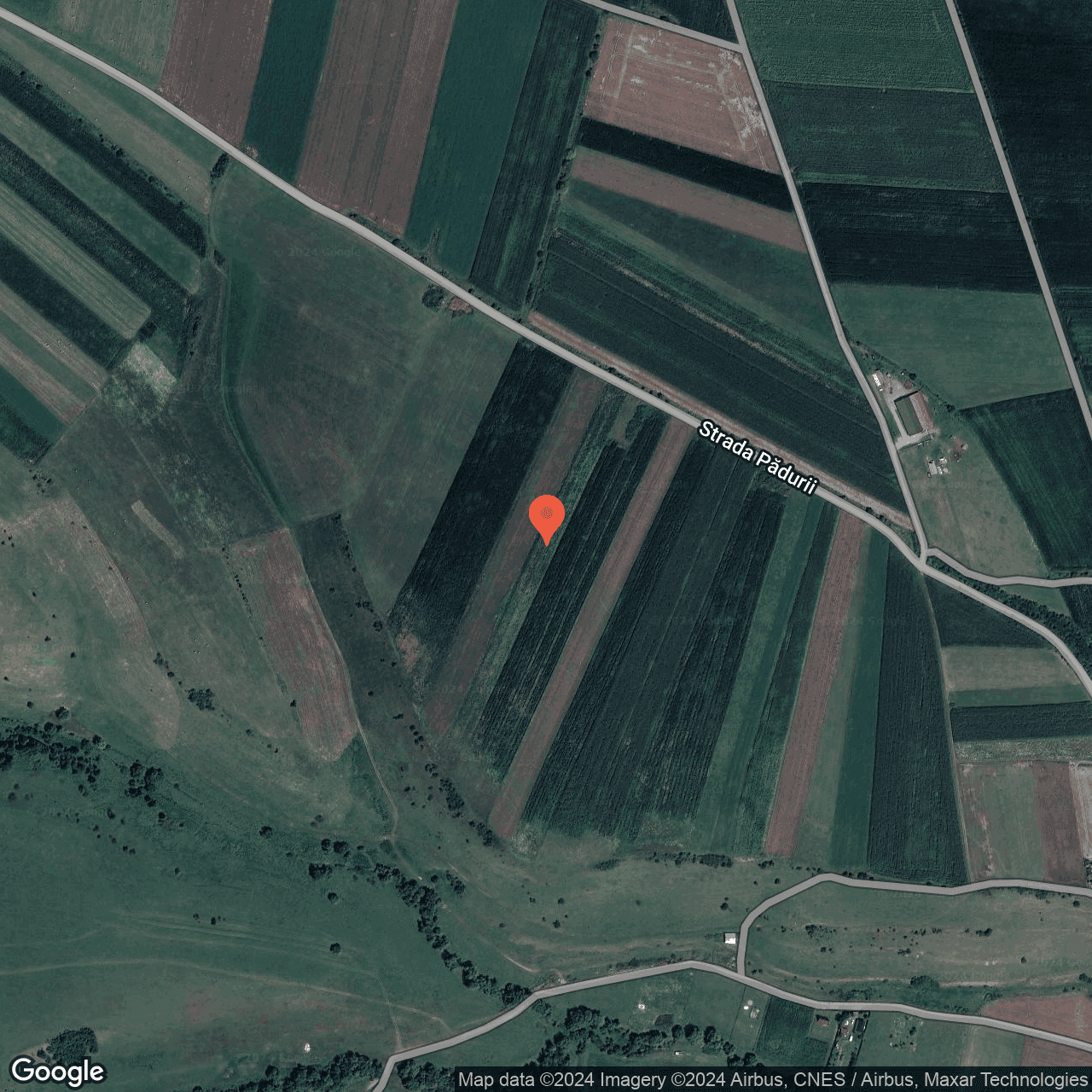 Poza harta hybrid, zoom 16, adresa Feldioara, , judetul