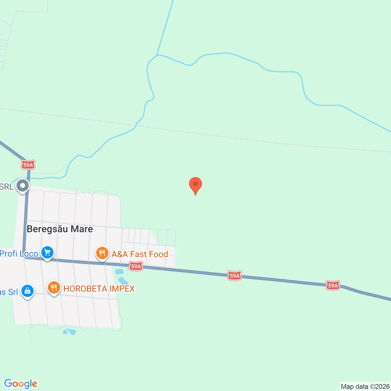 Poza harta streetview, zoom 16, adresa Sacalaz Timis, , judetul