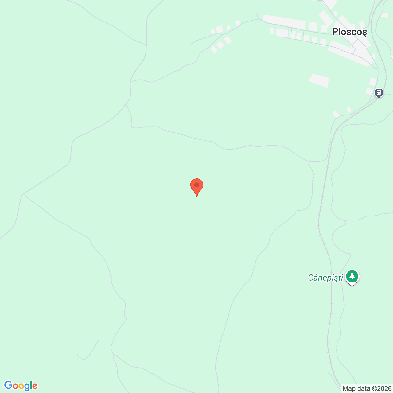 Poza harta streetview, zoom 14, adresa Ploscos Cluj, , judetul