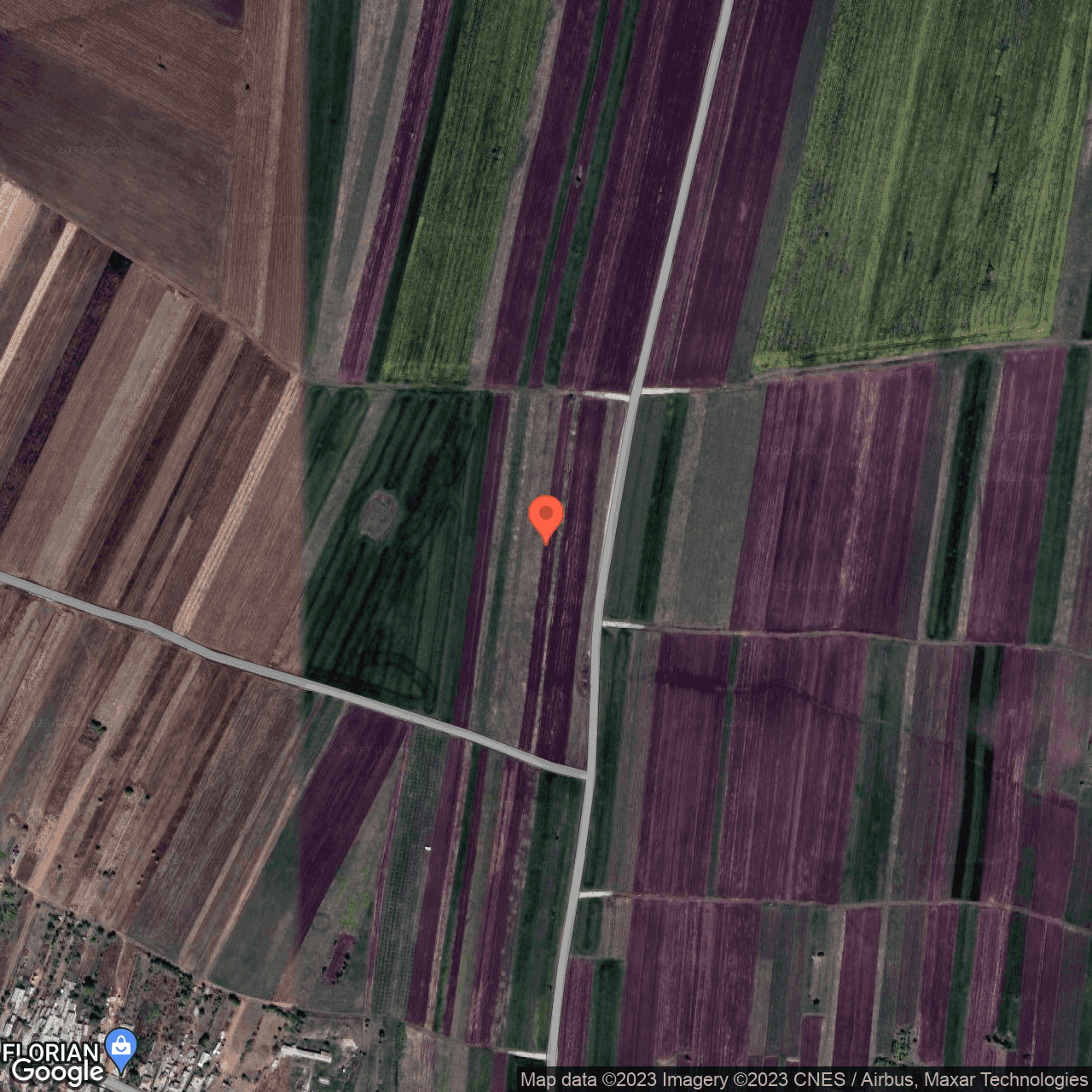 Poza harta hybrid, zoom 16, adresa Robanesti Dolj, , judetul