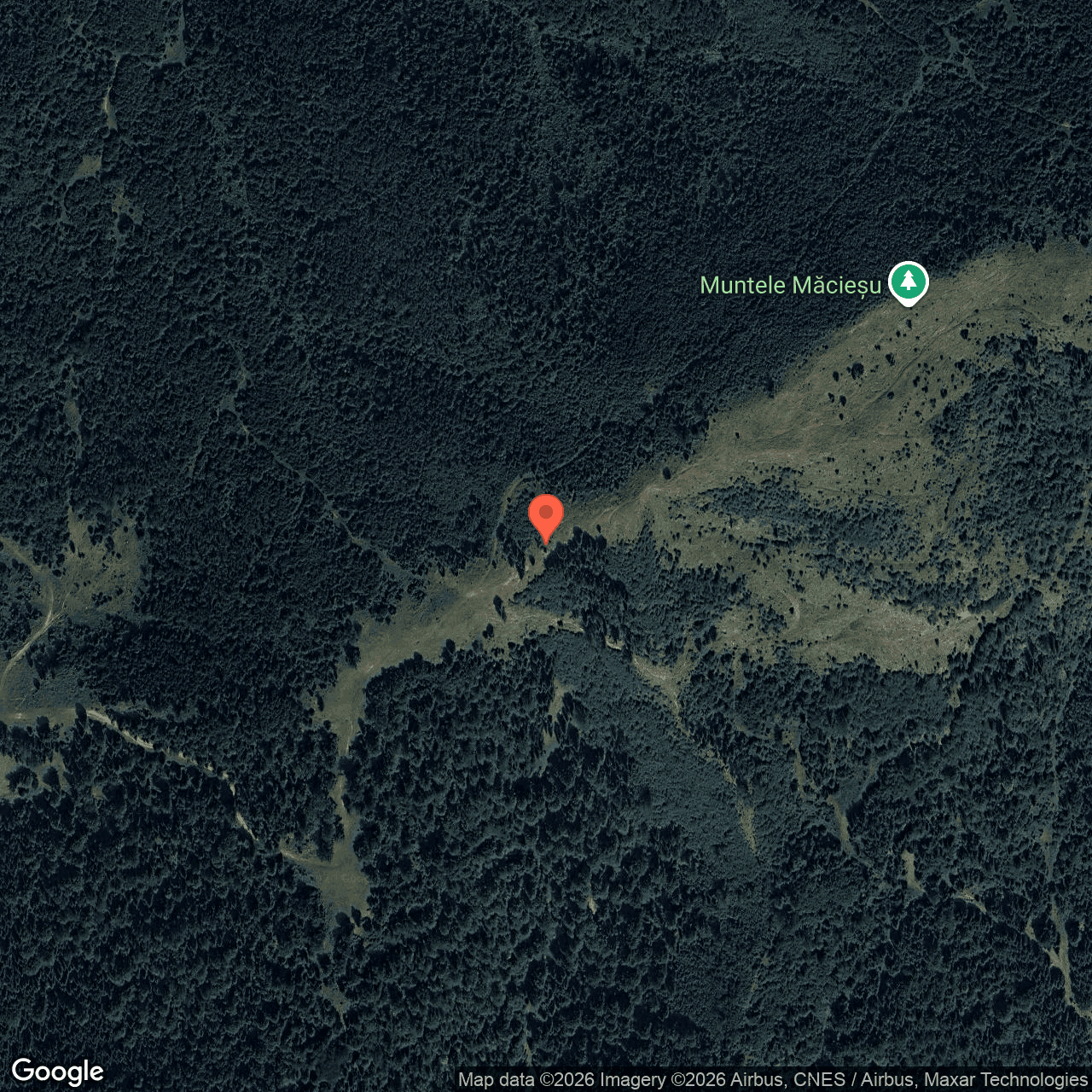 Poza harta hybrid, zoom 16, adresa Agas Bacau, , judetul