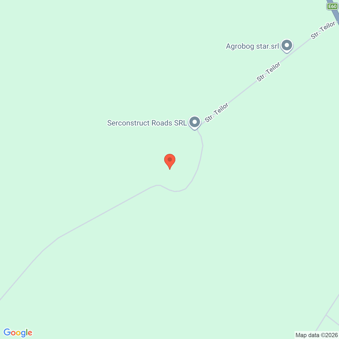 Poza harta streetview, zoom 16, adresa Nicolae Balcescu Constanta, , judetul