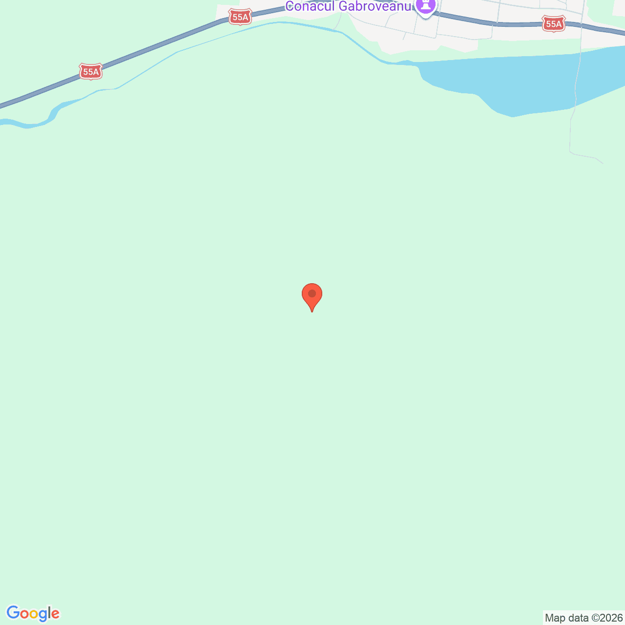 Poza harta streetview, zoom 16, adresa Negoi Dolj, , judetul