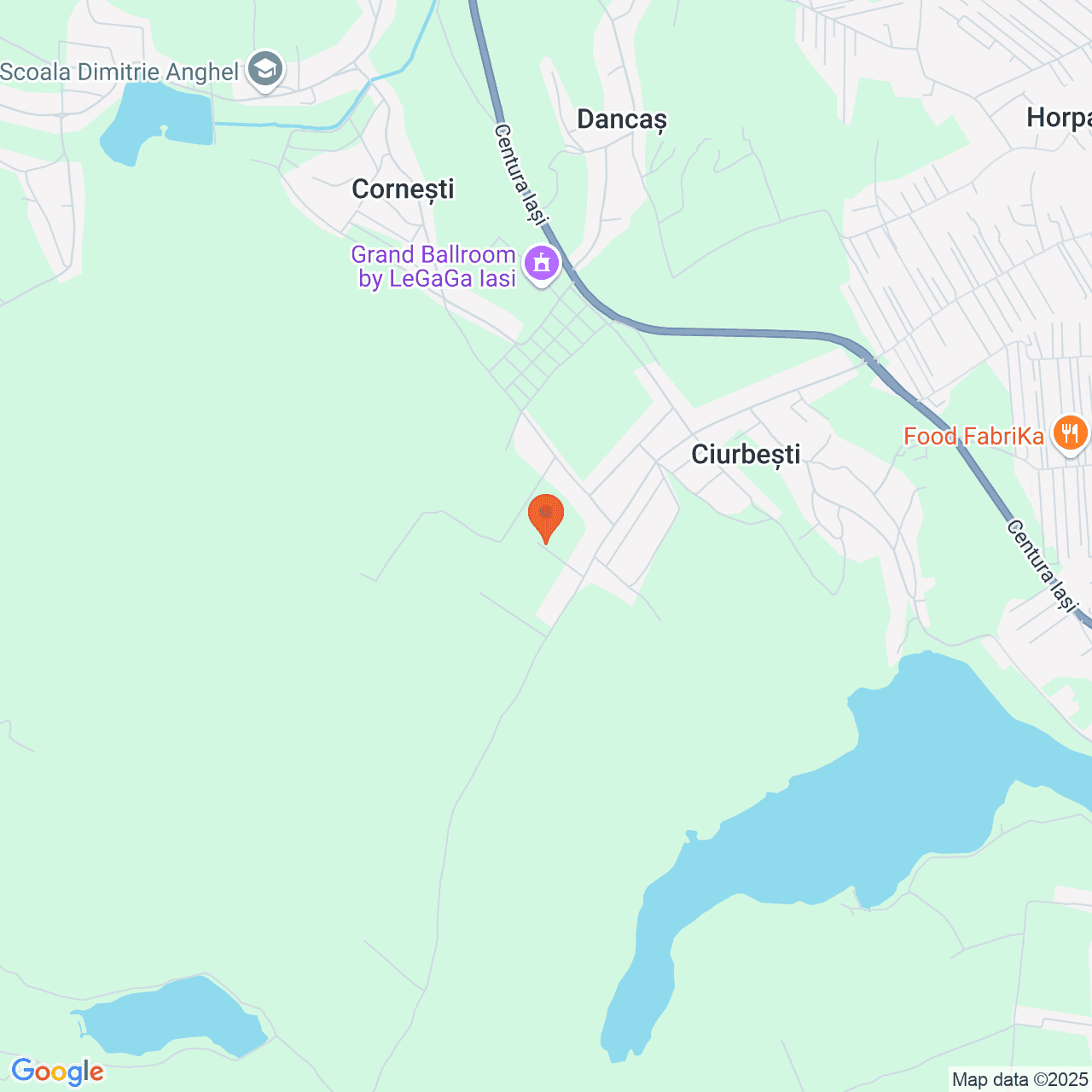 Poza harta streetview, zoom 14, adresa Miroslava Iasi, , judetul