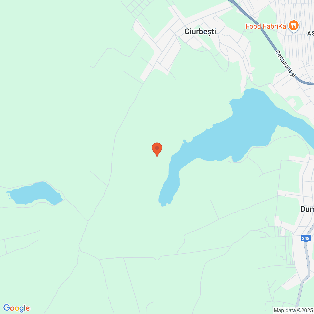 Poza harta streetview, zoom 14, adresa Miroslava Iasi, , judetul