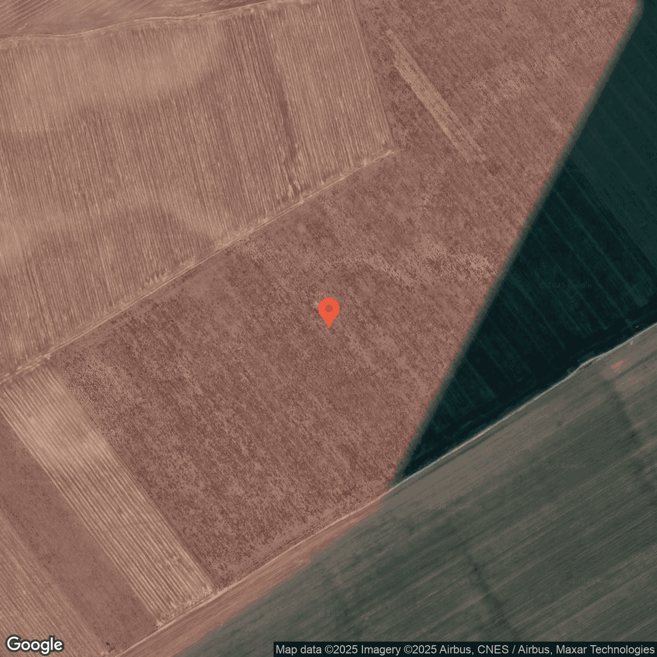 Poza harta hybrid, zoom 16, adresa Vasilati judet Calarasi, , judetul