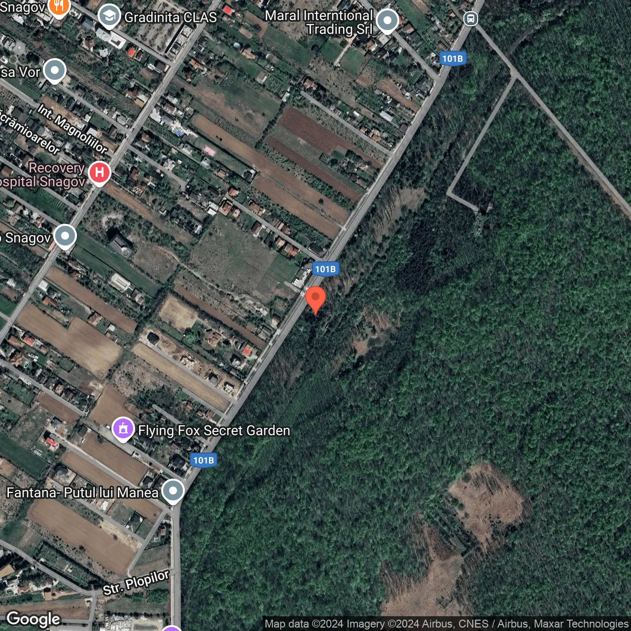 Poza harta hybrid, zoom 16, adresa Snagov Ilfov, , judetul