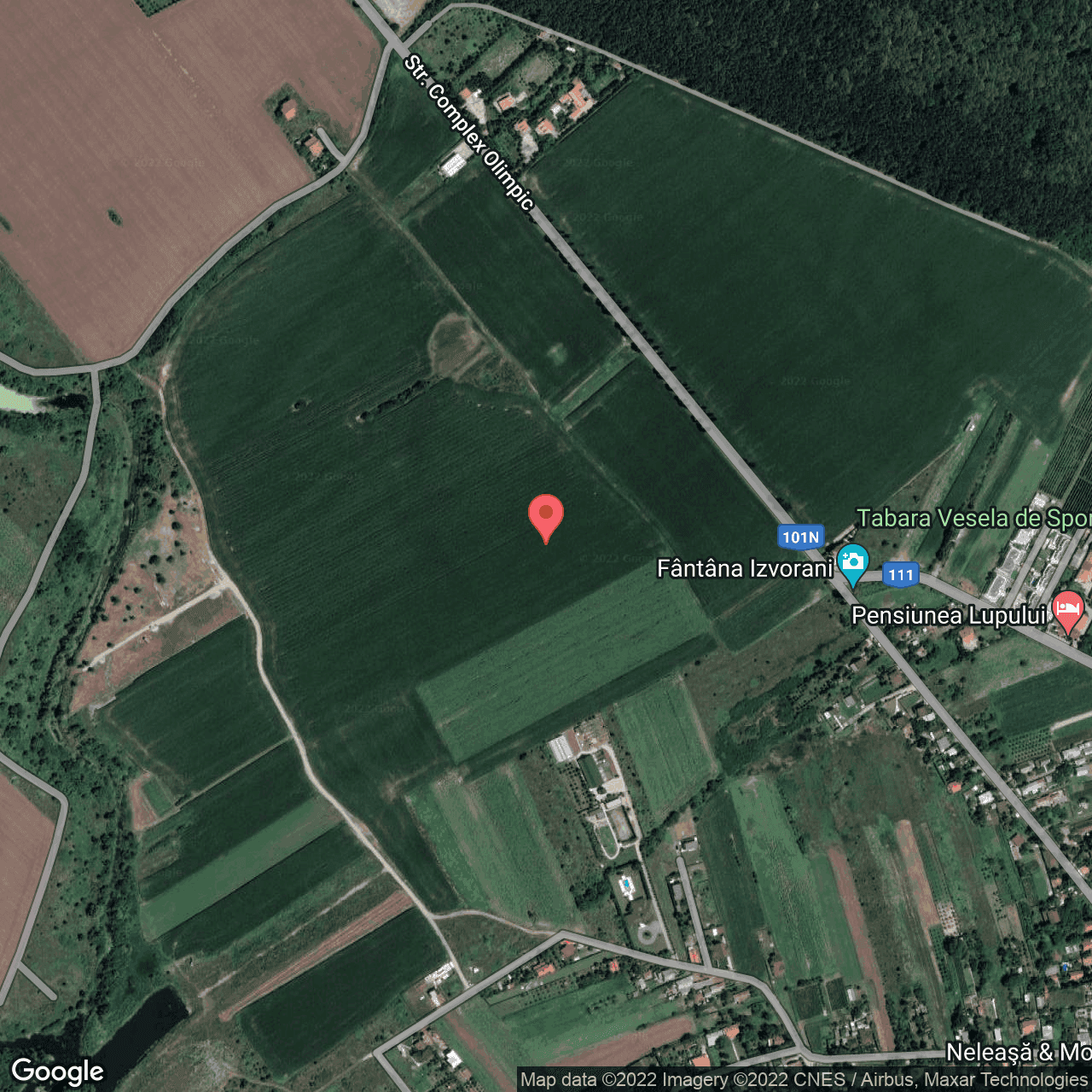 Poza harta hybrid, zoom 16, adresa Ciolpani, judetul Bucuresti Ilfov