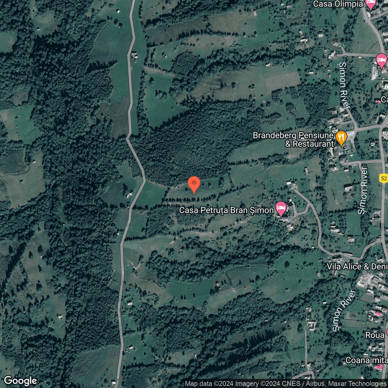 Poza harta hybrid, zoom 16, adresa Bran Brasov, , judetul