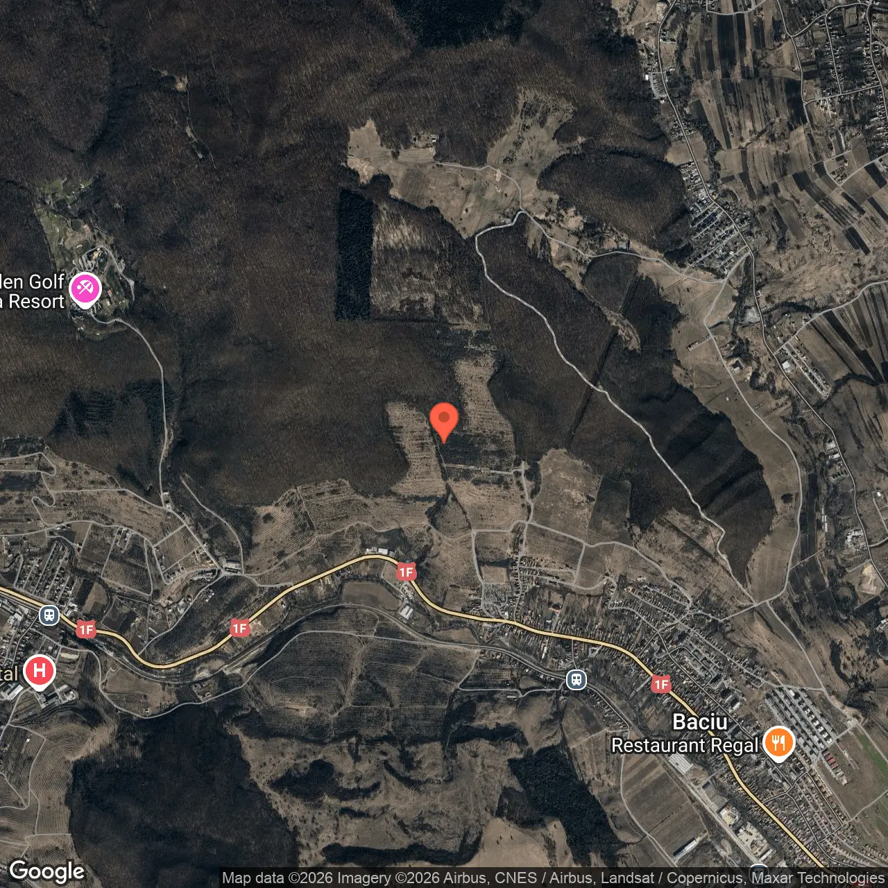 Poza harta hybrid, zoom 14, adresa Baciu Cluj, , judetul