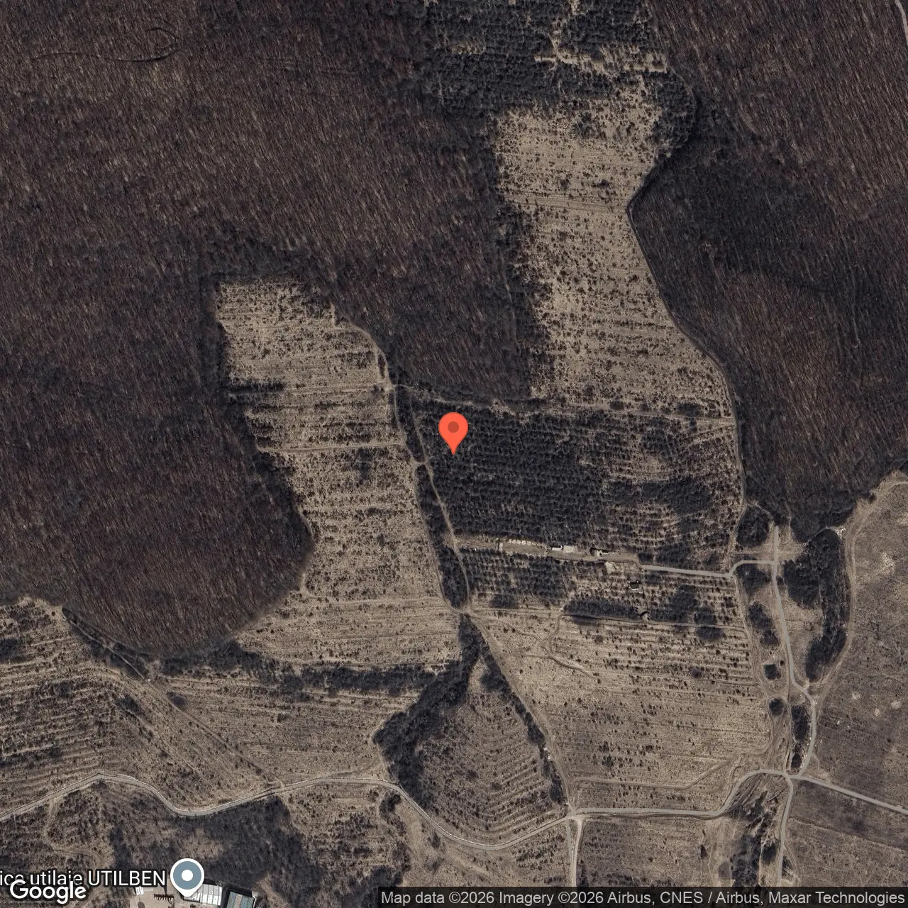 Poza harta hybrid, zoom 16, adresa Baciu Cluj, , judetul