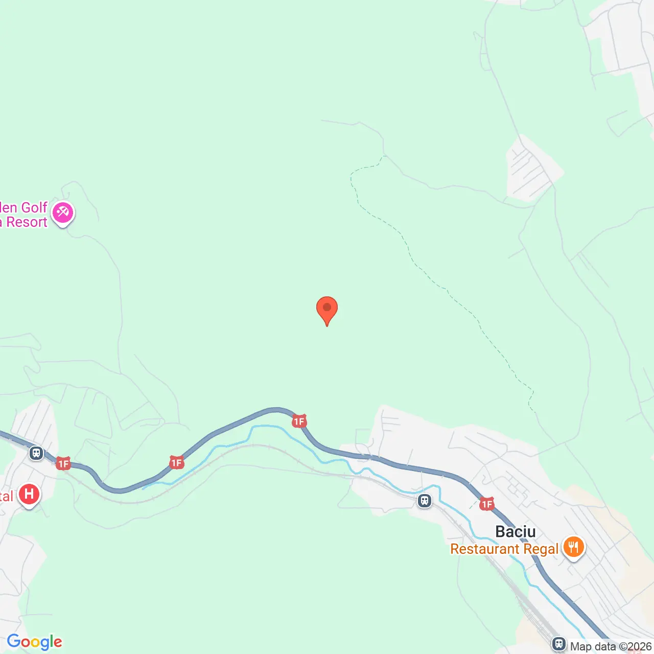 Poza harta streetview, zoom 14, adresa Baciu Cluj, , judetul