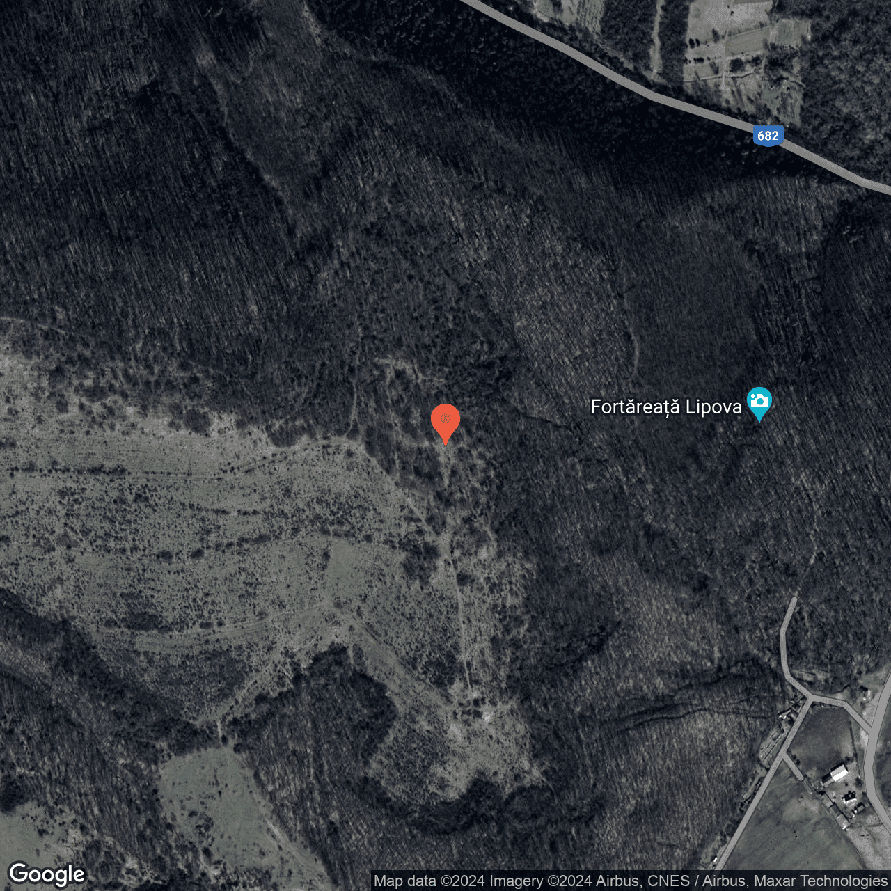 Poza harta hybrid, zoom 16, adresa Lipova Arad, , judetul
