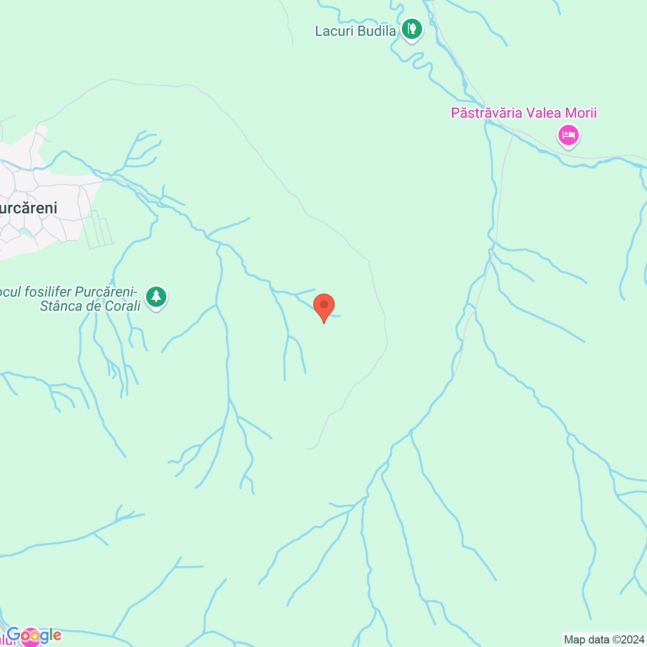 Poza harta streetview, zoom 14, adresa Tarlungeni Brasov, , judetul