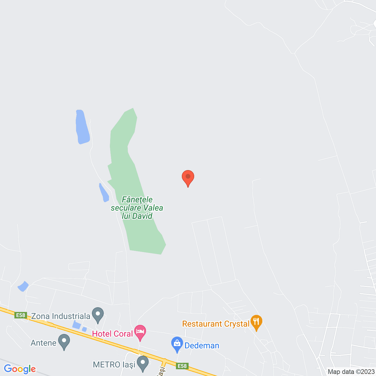 Poza harta streetview, zoom 14, adresa Valea Lupului, , judetul