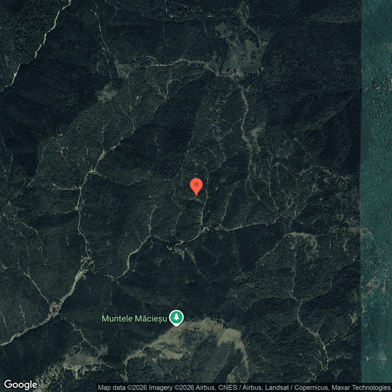 Poza harta hybrid, zoom 14, adresa Brusturoasa Bacau, , judetul