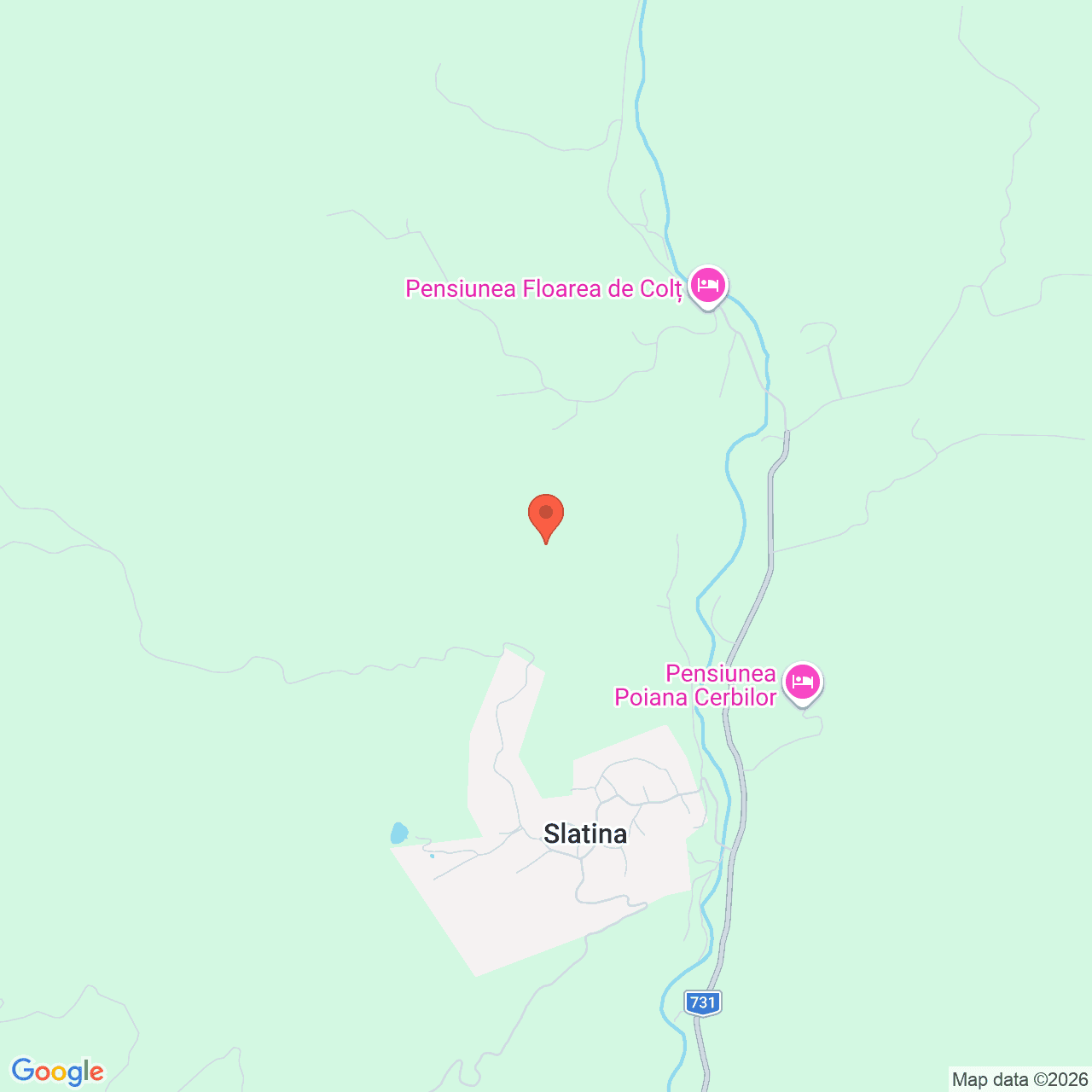 Poza harta streetview, zoom 14, adresa Nucsoara Arges, , judetul