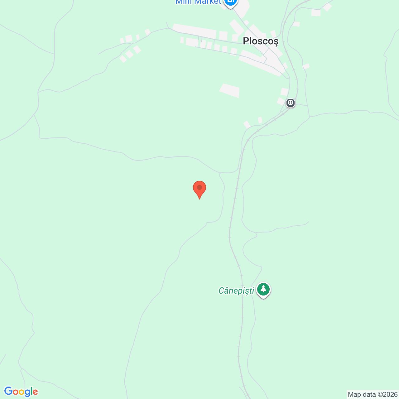 Poza harta streetview, zoom 14, adresa Ploscos Cluj, , judetul