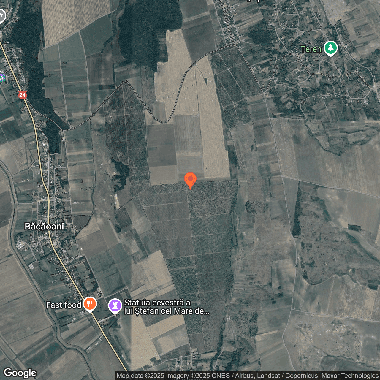 Poza harta hybrid, zoom 14, adresa Muntenii de Jos Vaslui, , judetul