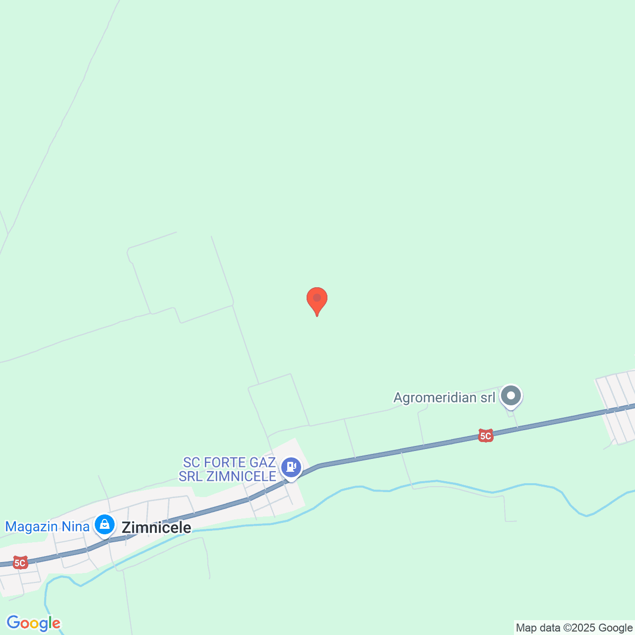 Poza harta streetview, zoom 14, adresa Nasturelu, Teleorman, , judetul