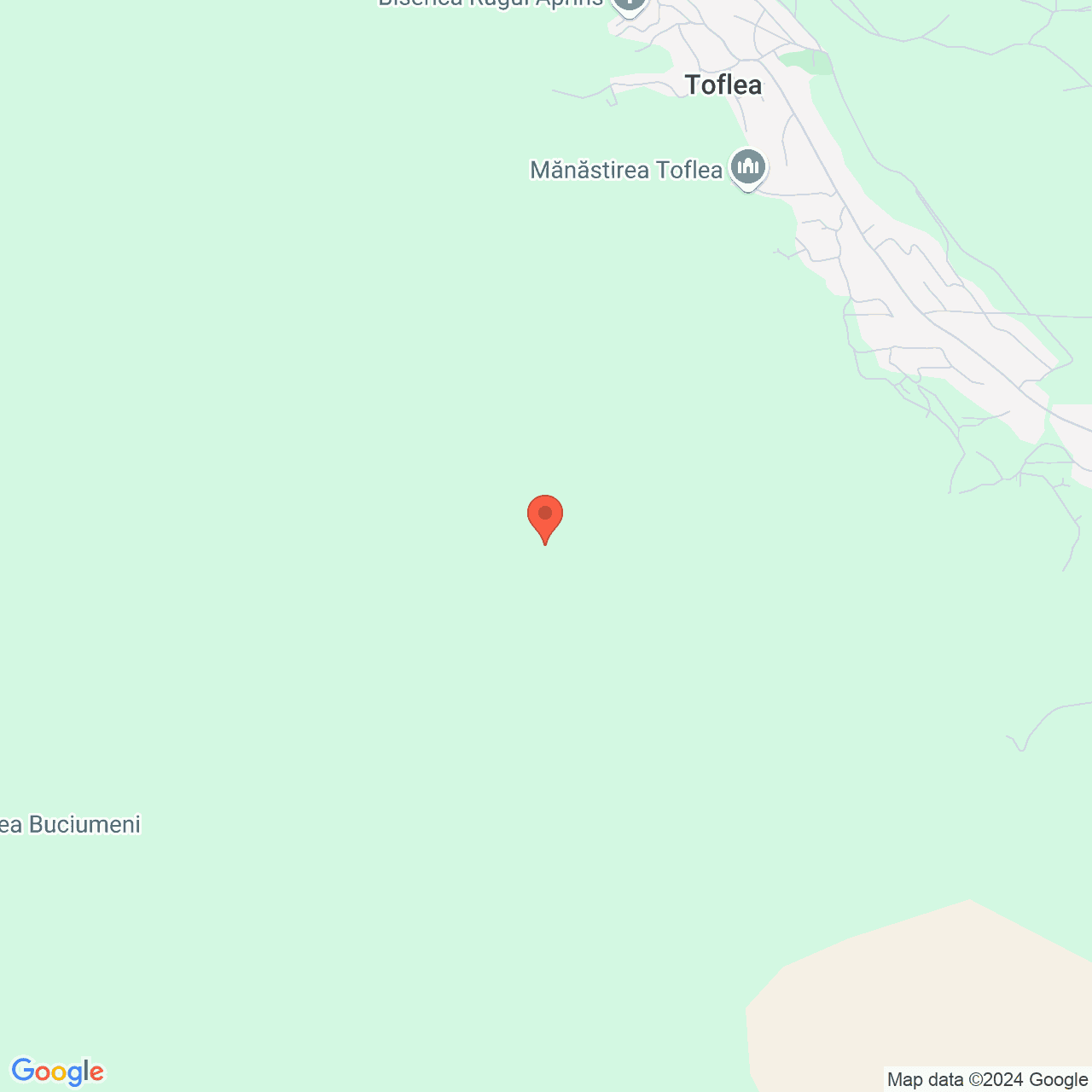 Poza harta streetview, zoom 16, adresa Brahasesti, jud.Galati, , judetul