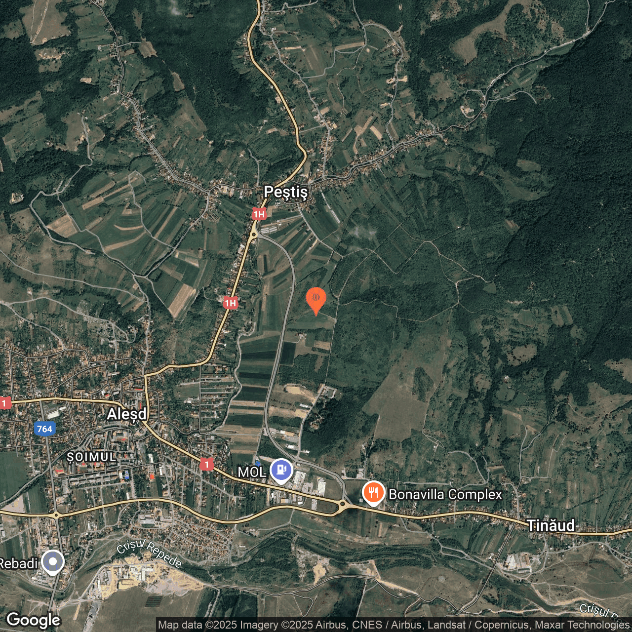 Poza harta hybrid, zoom 14, adresa Alesd Bihor, , judetul