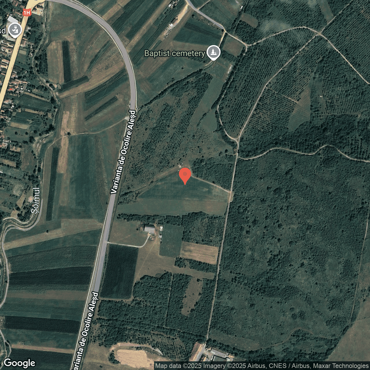 Poza harta hybrid, zoom 16, adresa Alesd Bihor, , judetul