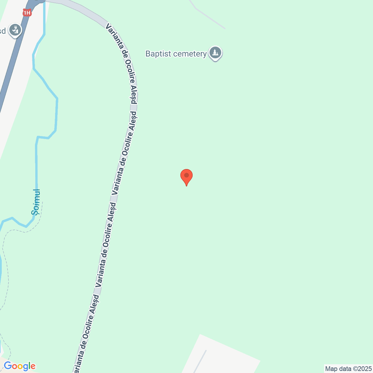 Poza harta streetview, zoom 16, adresa Alesd Bihor, , judetul