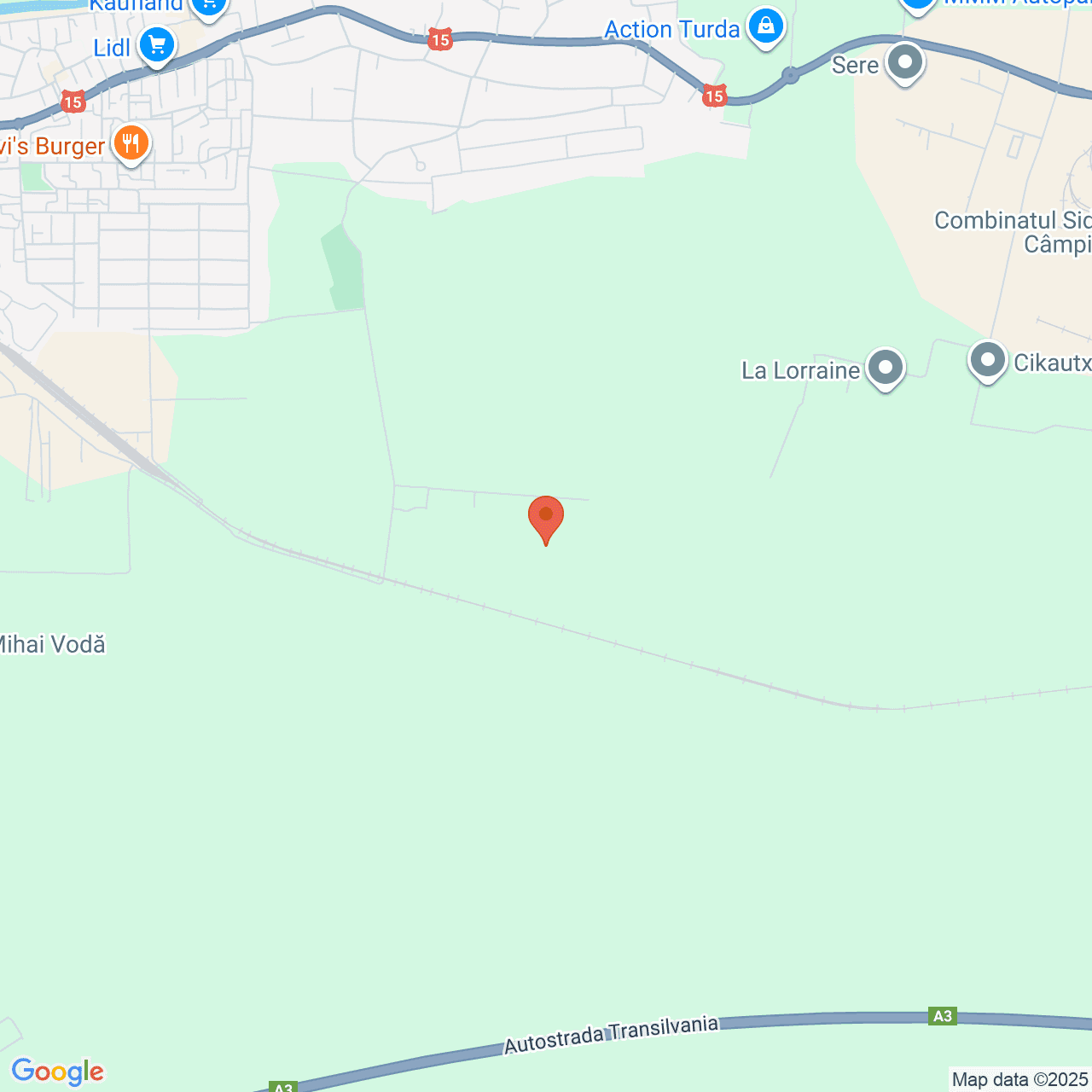 Poza harta streetview, zoom 14, adresa Turda, str. Plaiului, FN, jud. Cluj, , judetul