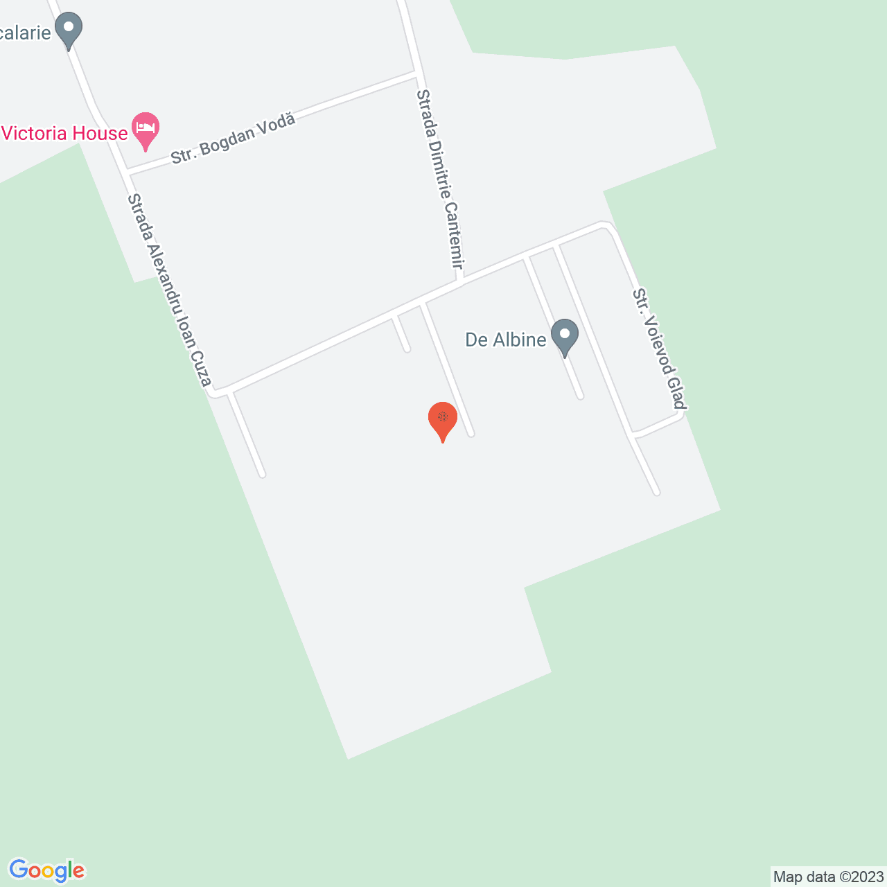 Poza harta streetview, zoom 16, adresa Snagov, , judetul