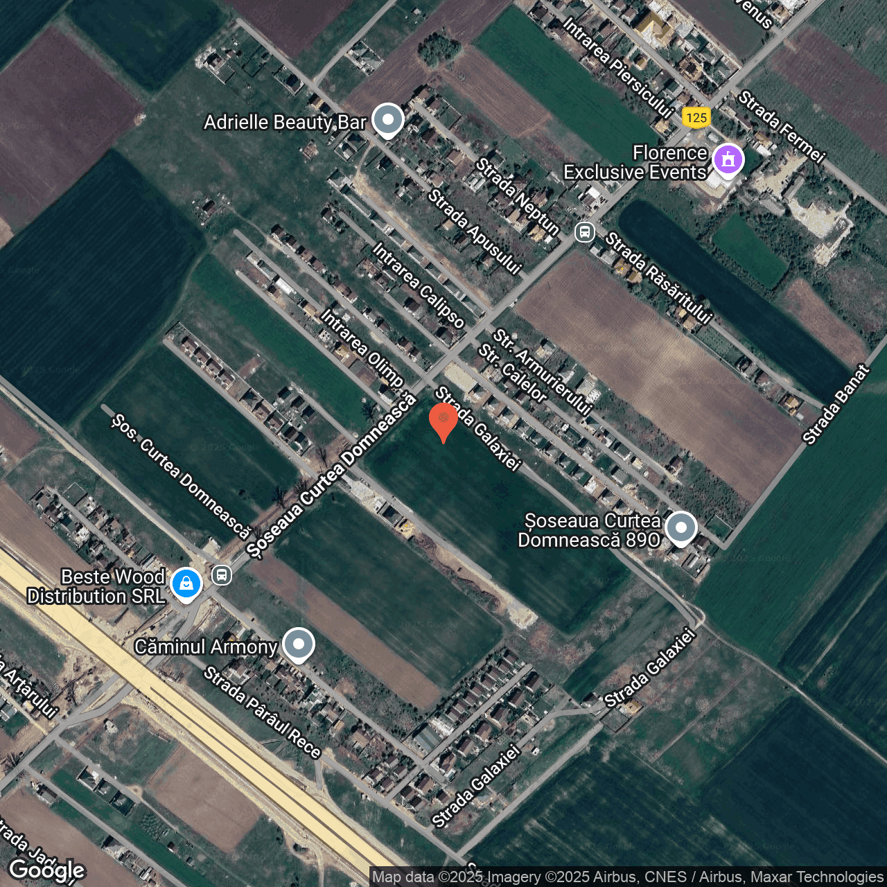 Poza harta hybrid, zoom 16, adresa Soseaua Curtea Domnească Domnesti, , judetul