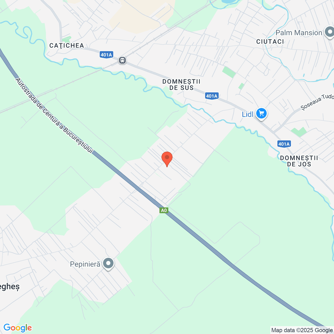 Poza harta streetview, zoom 14, adresa Soseaua Curtea Domnească Domnesti, , judetul