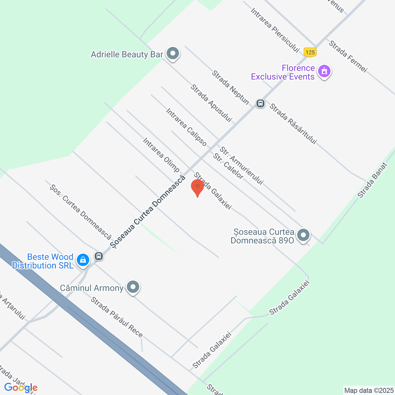 Poza harta streetview, zoom 16, adresa Soseaua Curtea Domnească Domnesti, , judetul