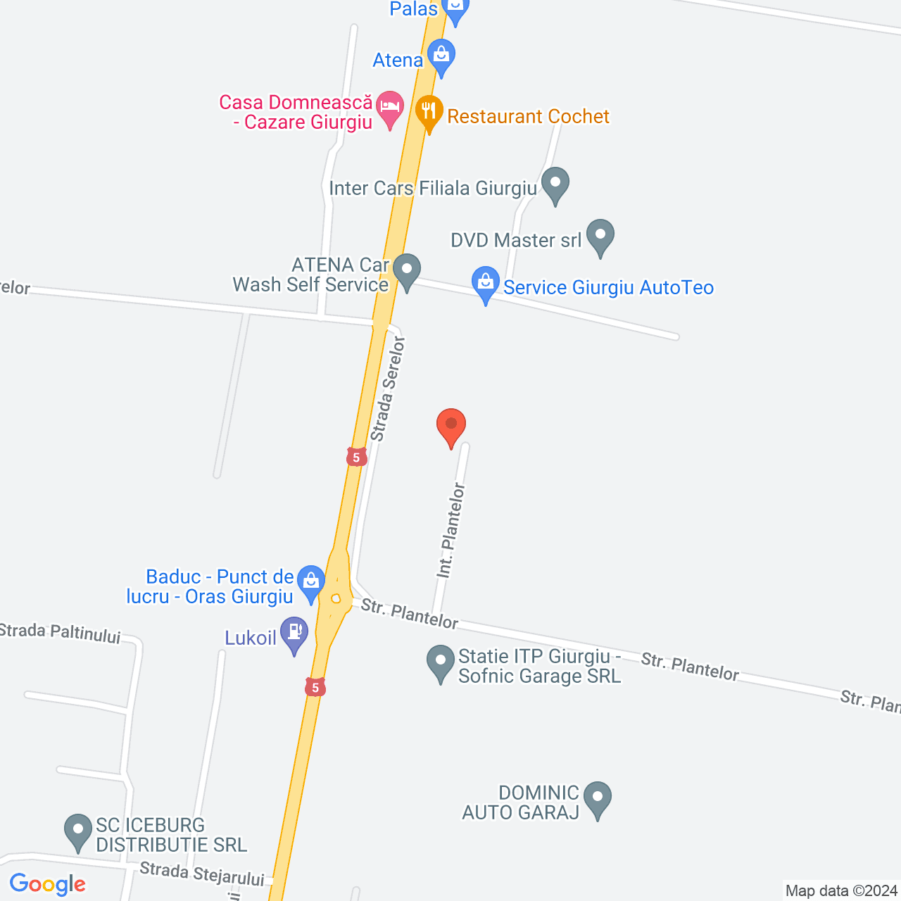 Poza harta streetview, zoom 16, adresa Remuș str. Fundătura Plantelor, nr.16, , judetul