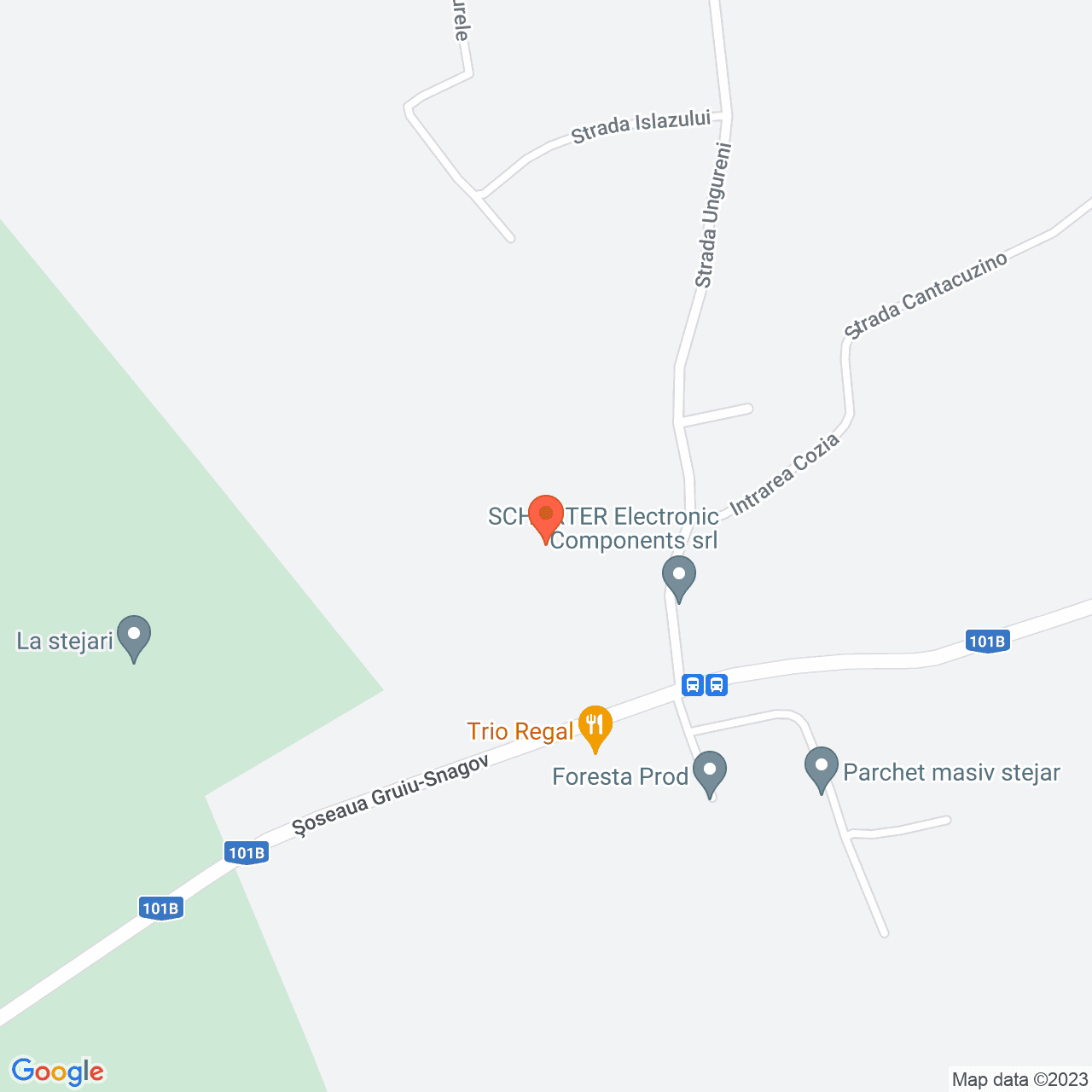Poza harta streetview, zoom 16, adresa Santu Floresti Ilfov, , judetul