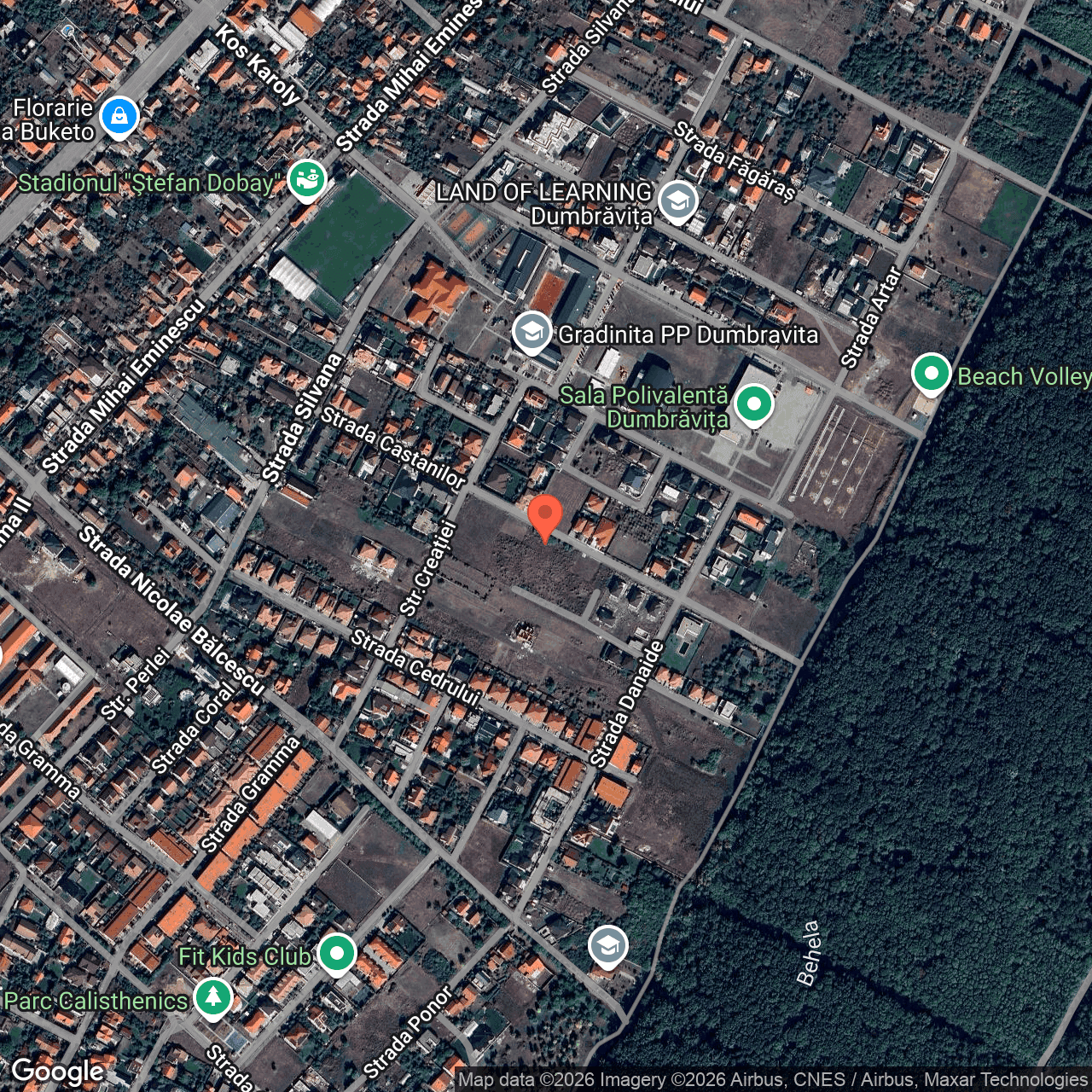 Poza harta hybrid, zoom 16, adresa Dumbravita, str. Castanilor, jud. Timis, , judetul