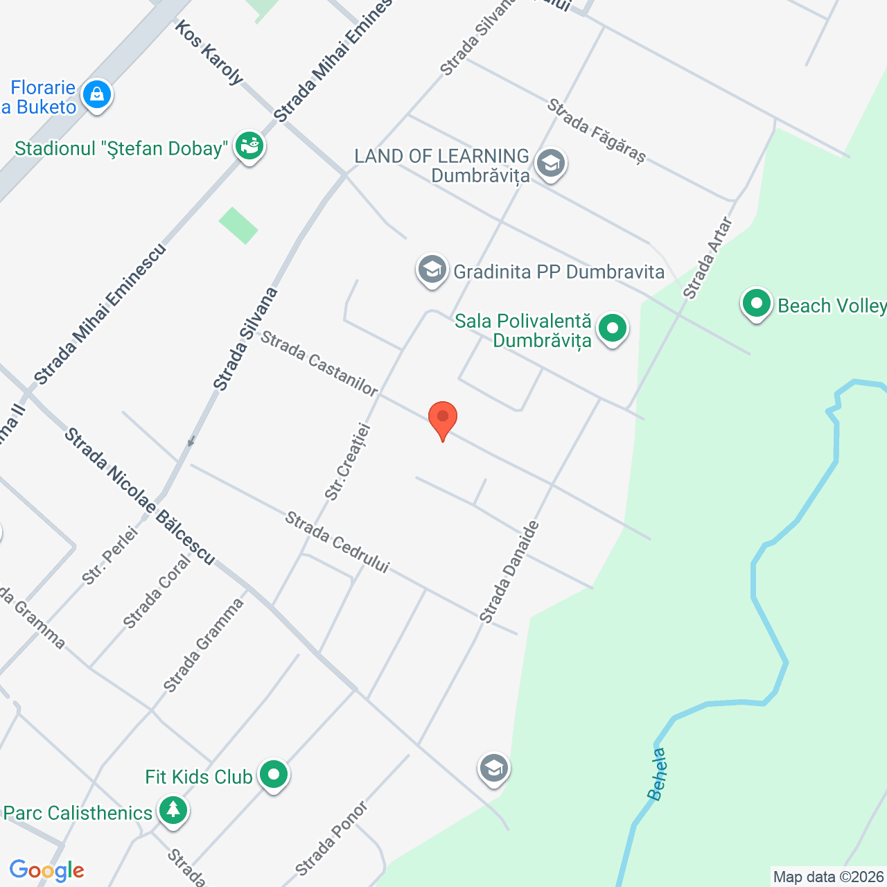 Poza harta streetview, zoom 16, adresa Dumbravita, str. Castanilor, jud. Timis, , judetul