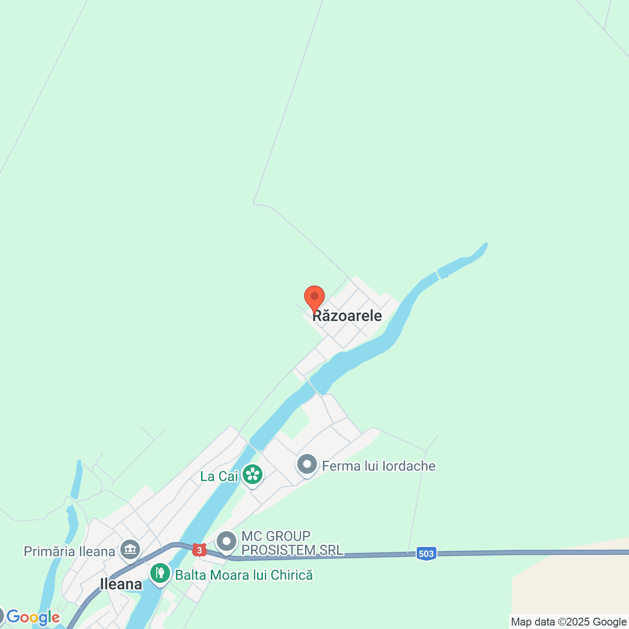 Poza harta streetview, zoom 14, adresa Ileana, judetul Calarasi, , judetul