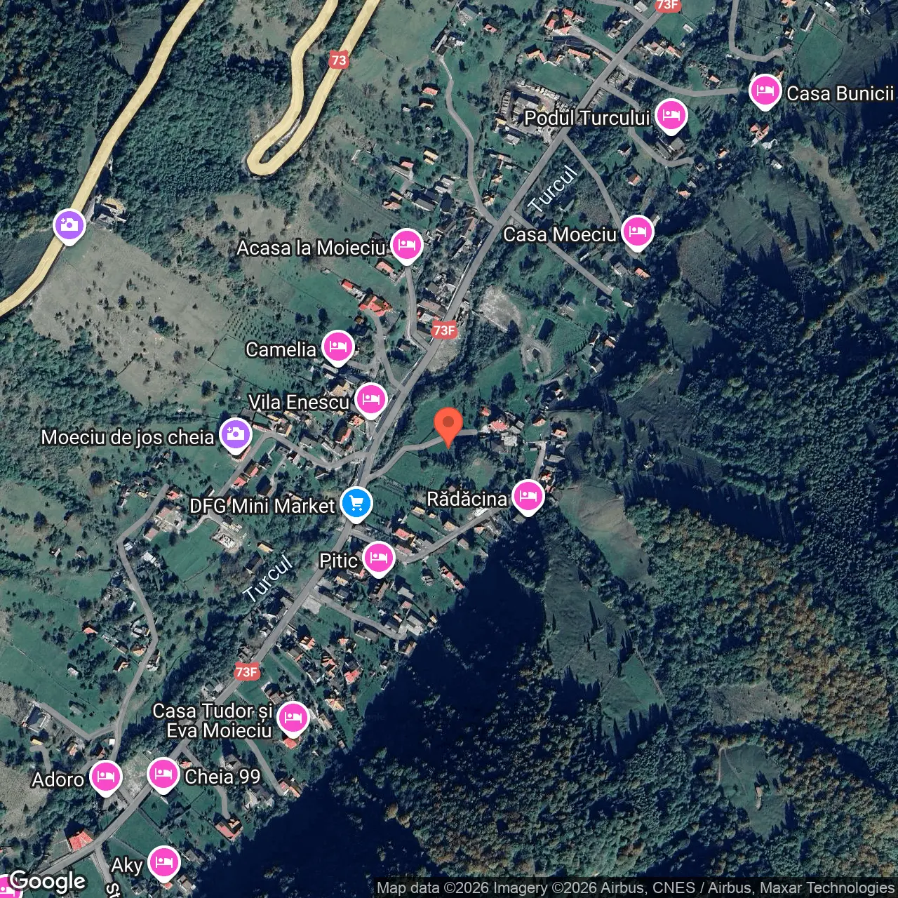 Poza harta hybrid, zoom 16, adresa Moeciu de Jos, Cheia , jud. Brasov, , judetul