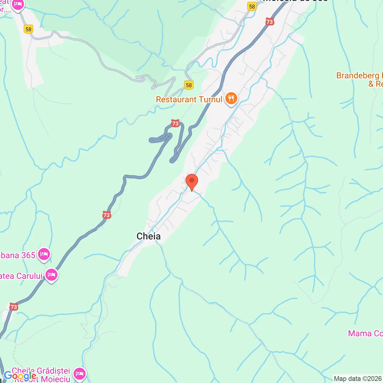 Poza harta streetview, zoom 14, adresa Moeciu de Jos, Cheia , jud. Brasov, , judetul