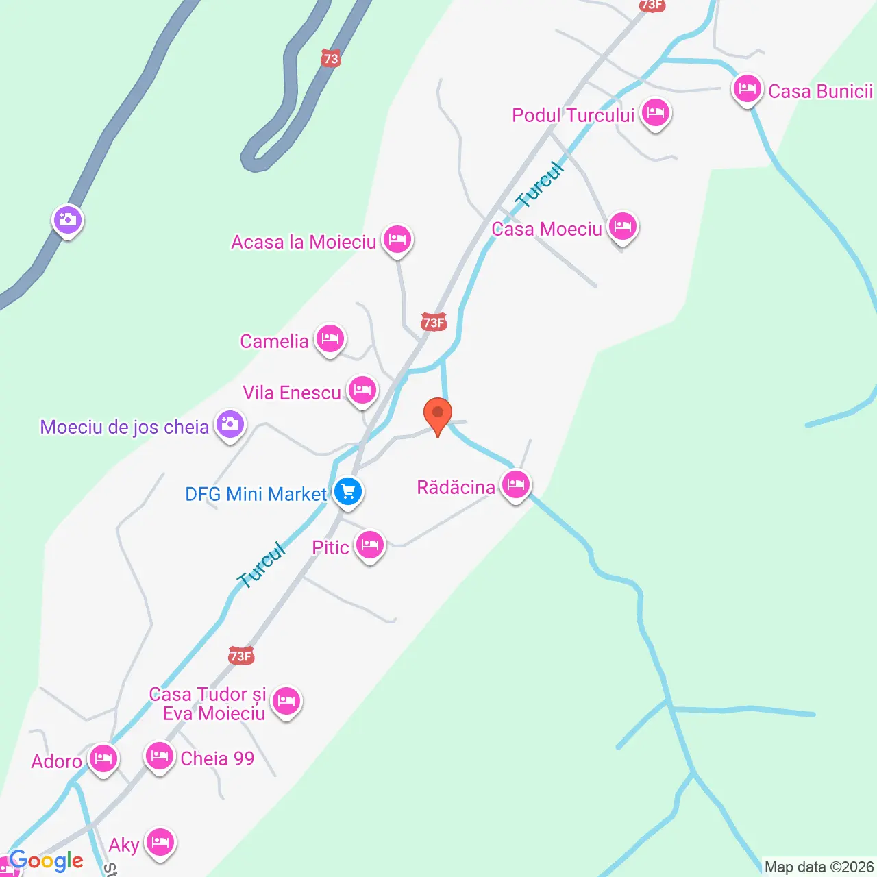 Poza harta streetview, zoom 16, adresa Moeciu de Jos, Cheia , jud. Brasov, , judetul