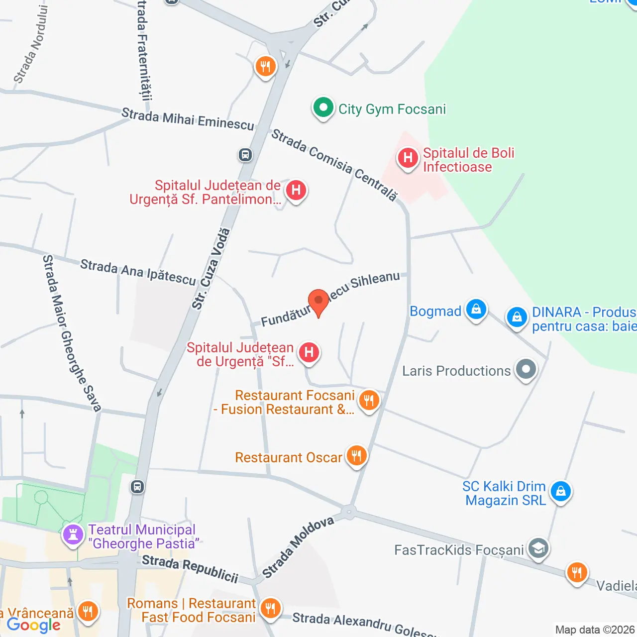 Poza harta streetview, zoom 16, adresa Focsani, str Alecu Sihleanu nr. 8C, , judetul