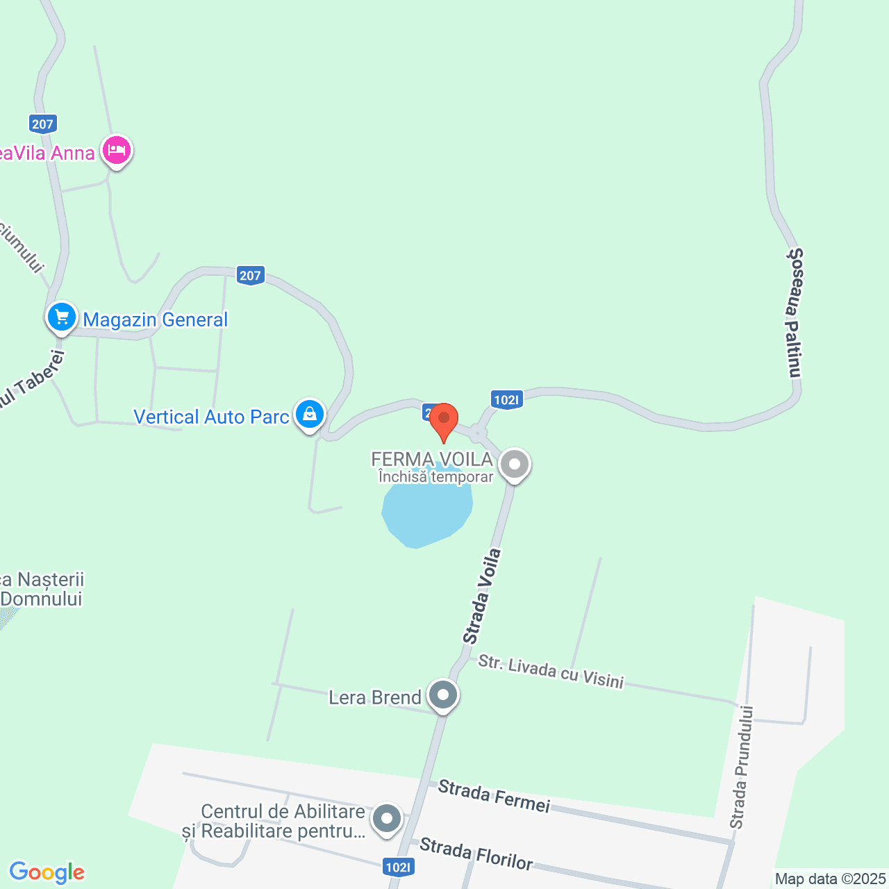 Poza harta streetview, zoom 16, adresa Campina Prahova, , judetul