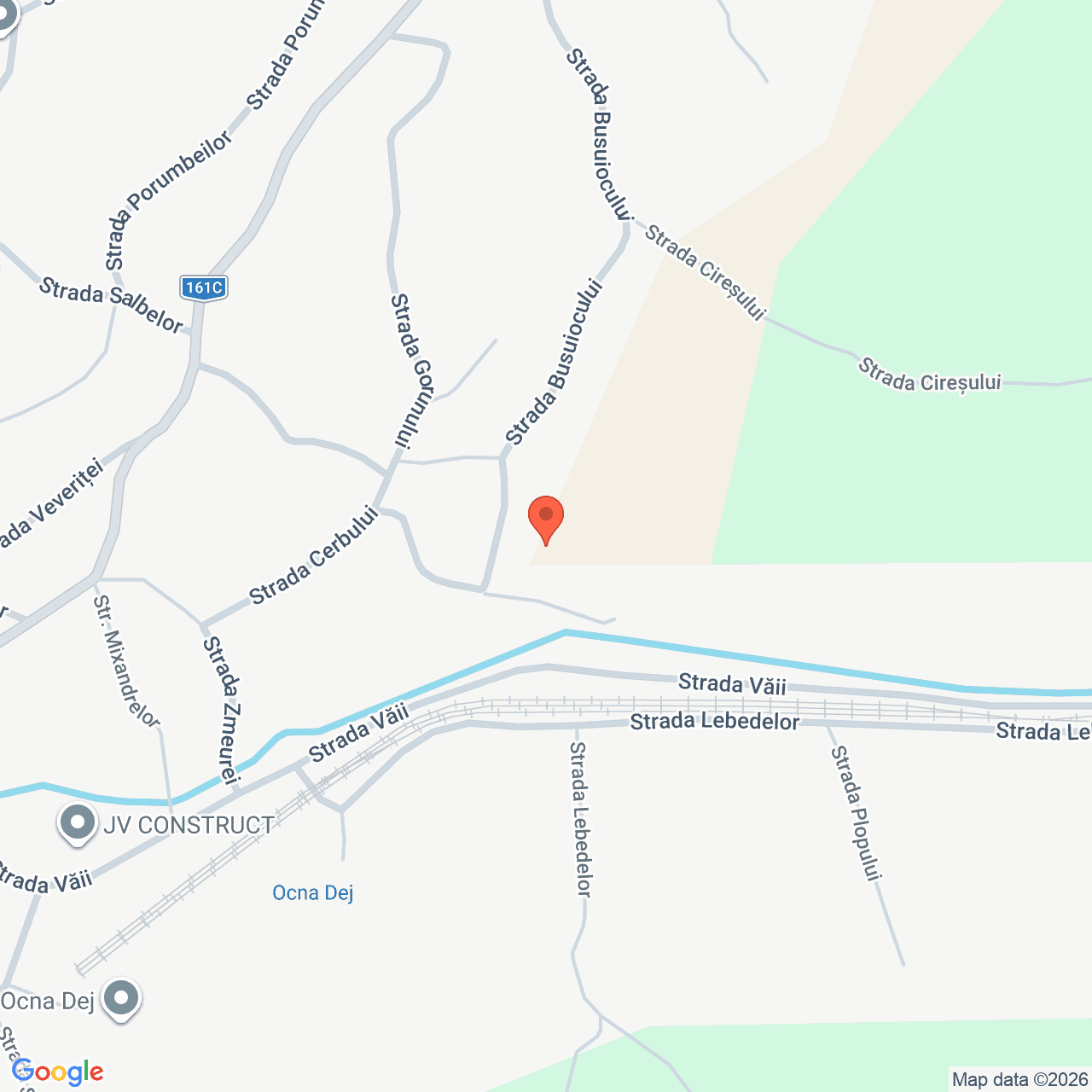 Poza harta streetview, zoom 16, adresa Strada Busuiocului Dej Cluj, , judetul