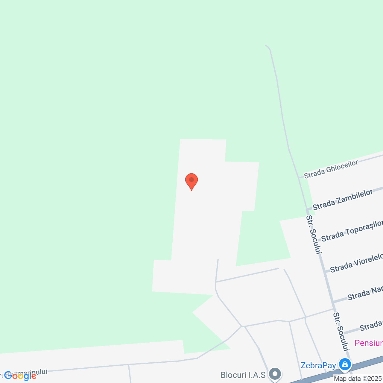 Poza harta streetview, zoom 16, adresa Ciocanesti Calarasi, , judetul