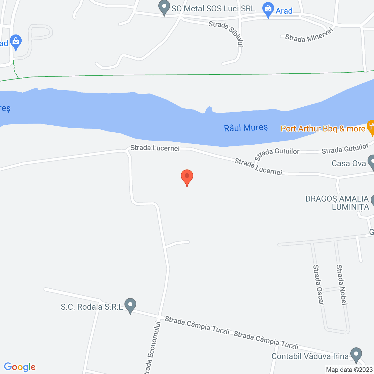 Poza harta streetview, zoom 16, adresa Arad, , judetul