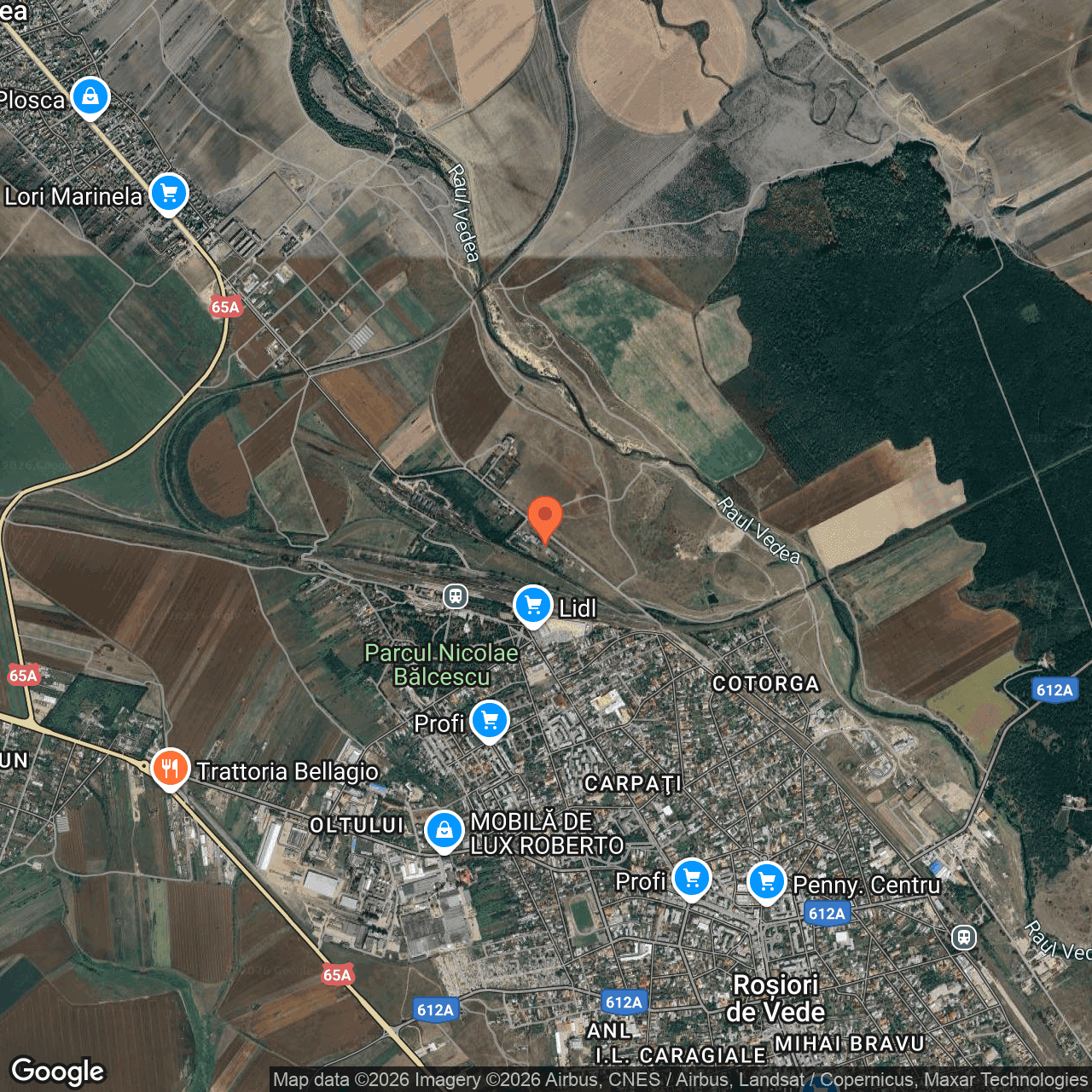 Poza harta hybrid, zoom 14, adresa Rosiori de Vede Teleorman, , judetul