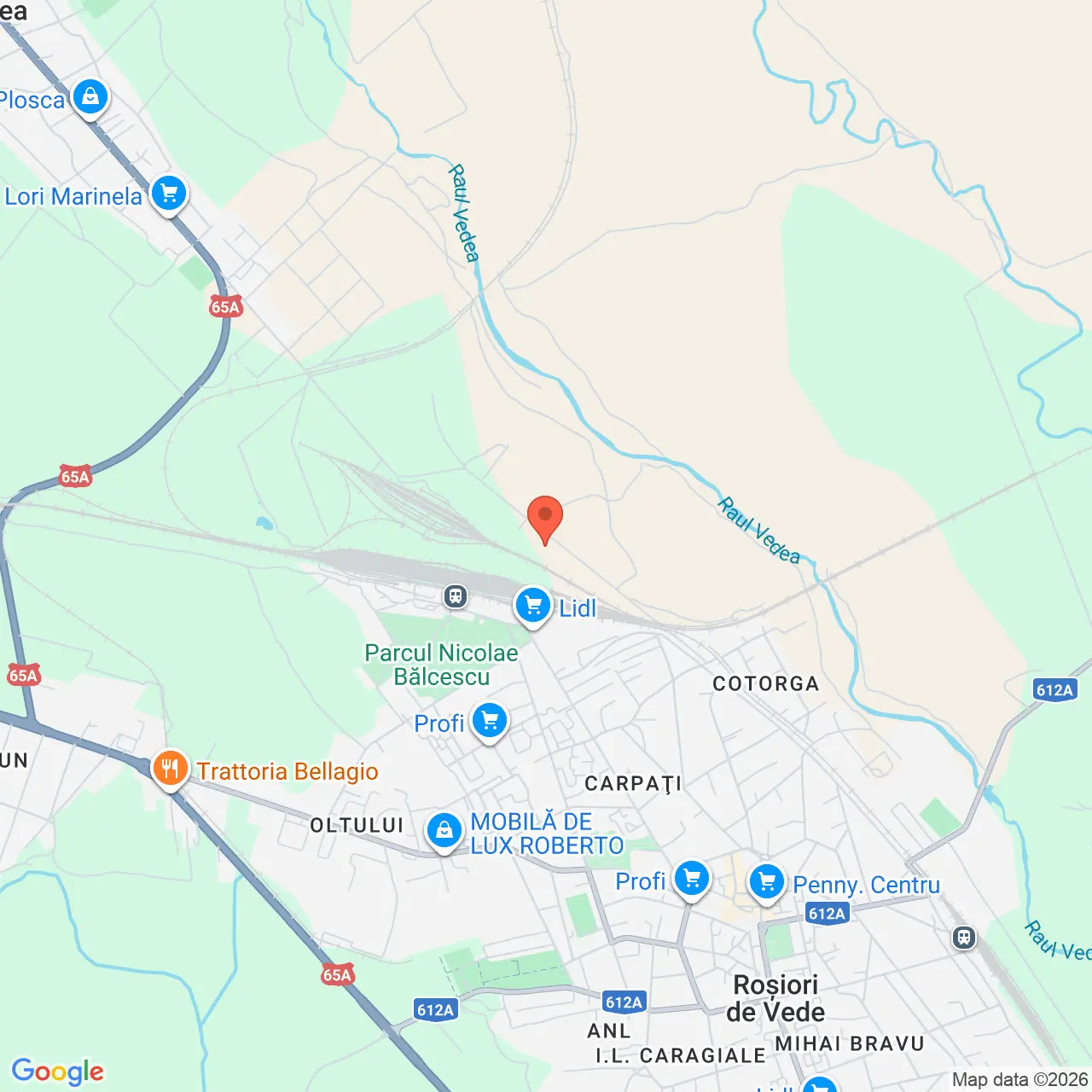 Poza harta streetview, zoom 14, adresa Rosiori de Vede Teleorman, , judetul