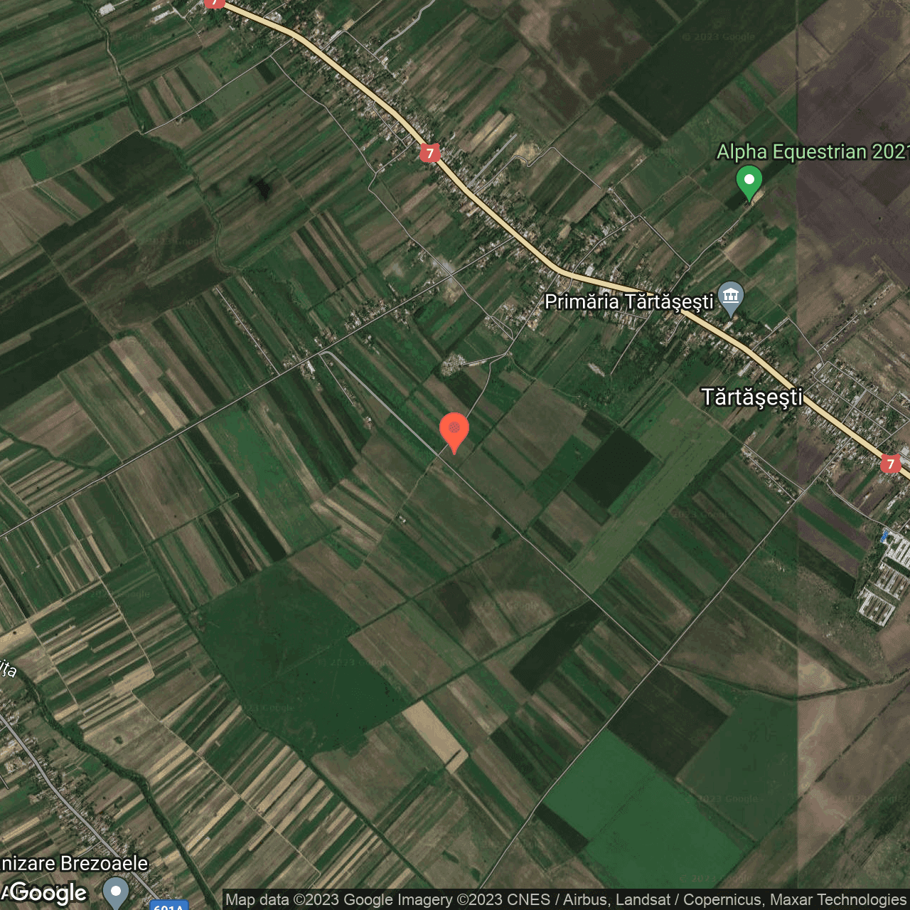 Poza harta hybrid, zoom 14, adresa Tartasesti, , judetul