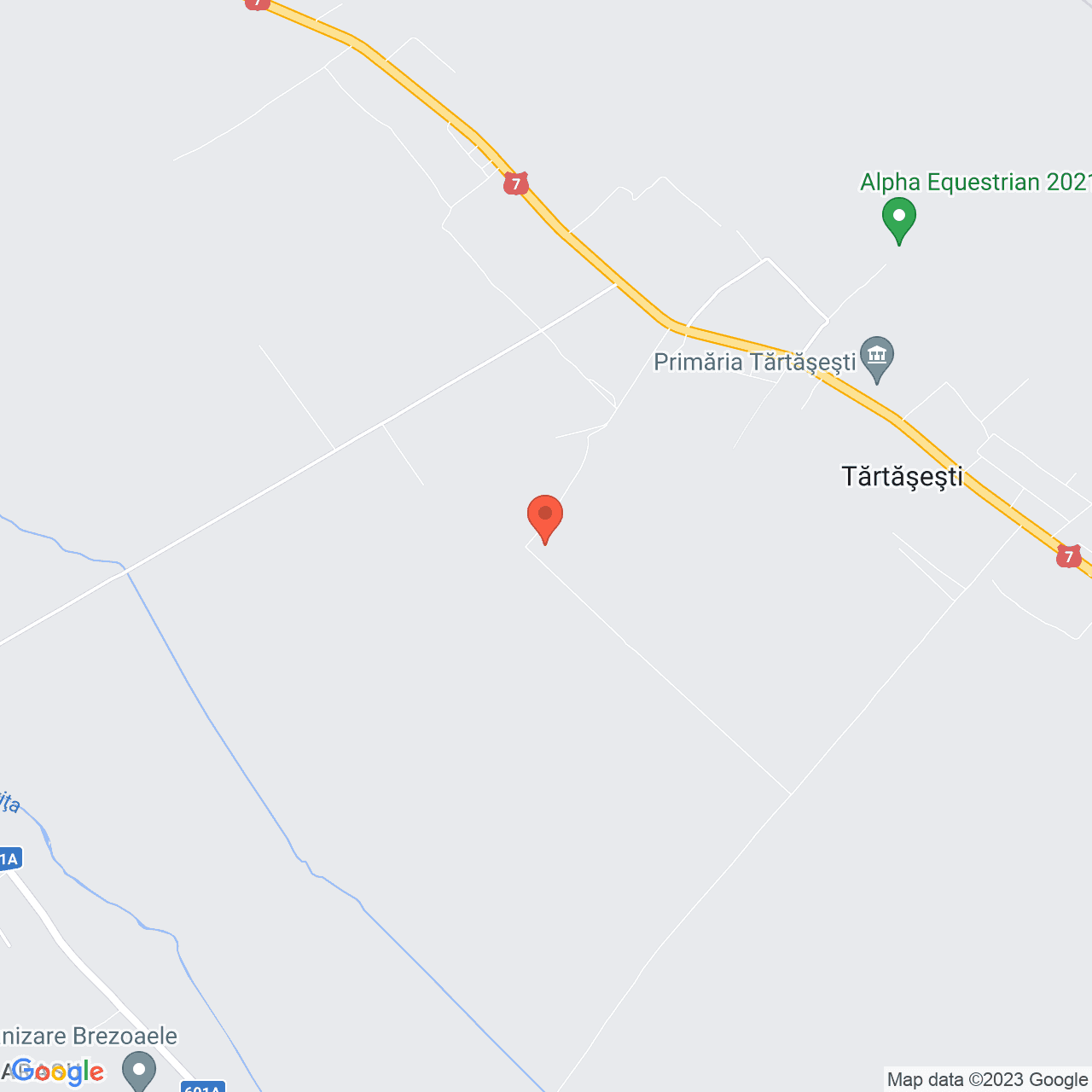 Poza harta streetview, zoom 14, adresa Tartasesti, , judetul